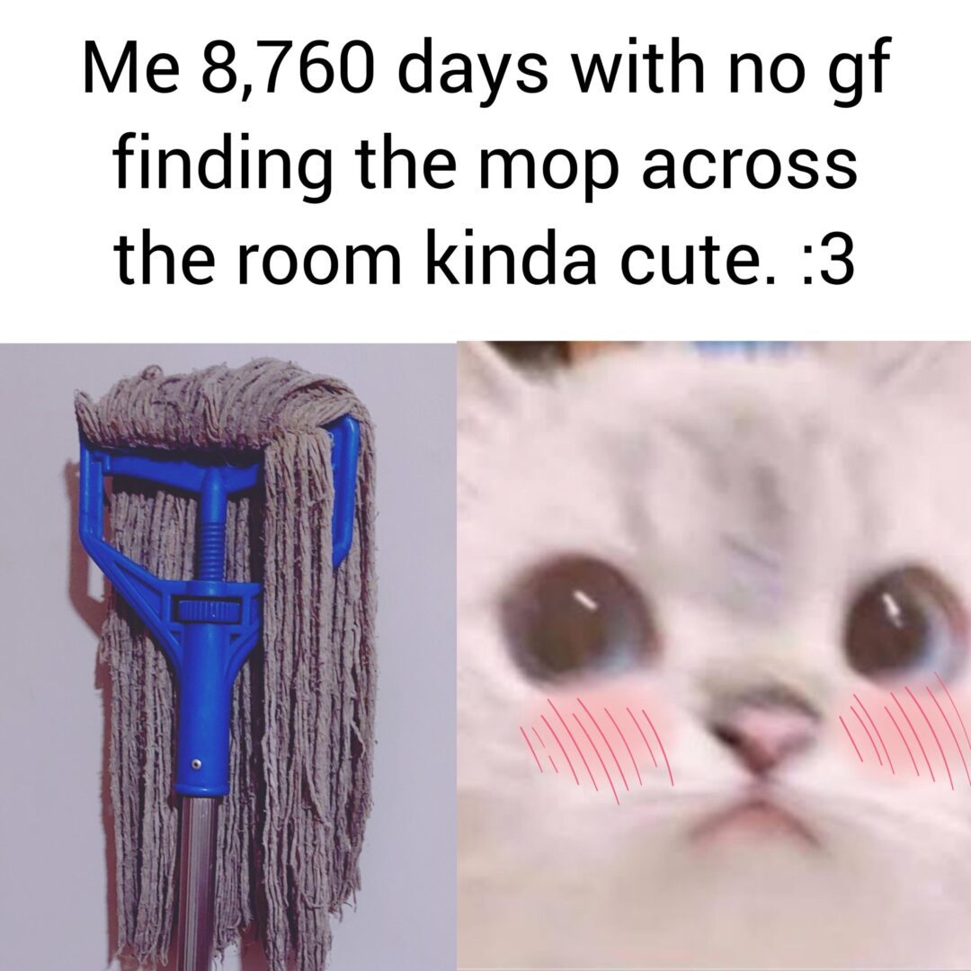 Flirting with Mops: A Single’s Tale