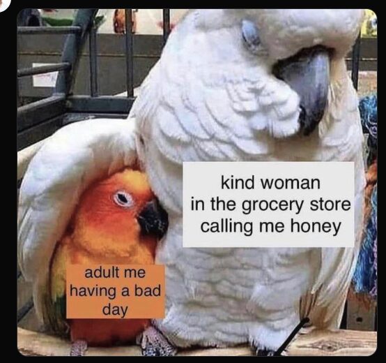 Sweet Comfort from a Stranger’s “Honey”