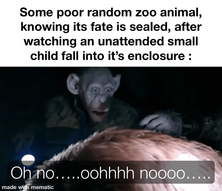 Zoo Animals as Babysitters?