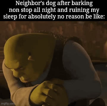 Sleepless Nights: Dog’s All-Night Concert