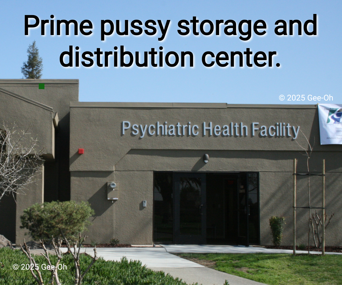 Unleash Your Inner Cat at Our Storage Unit