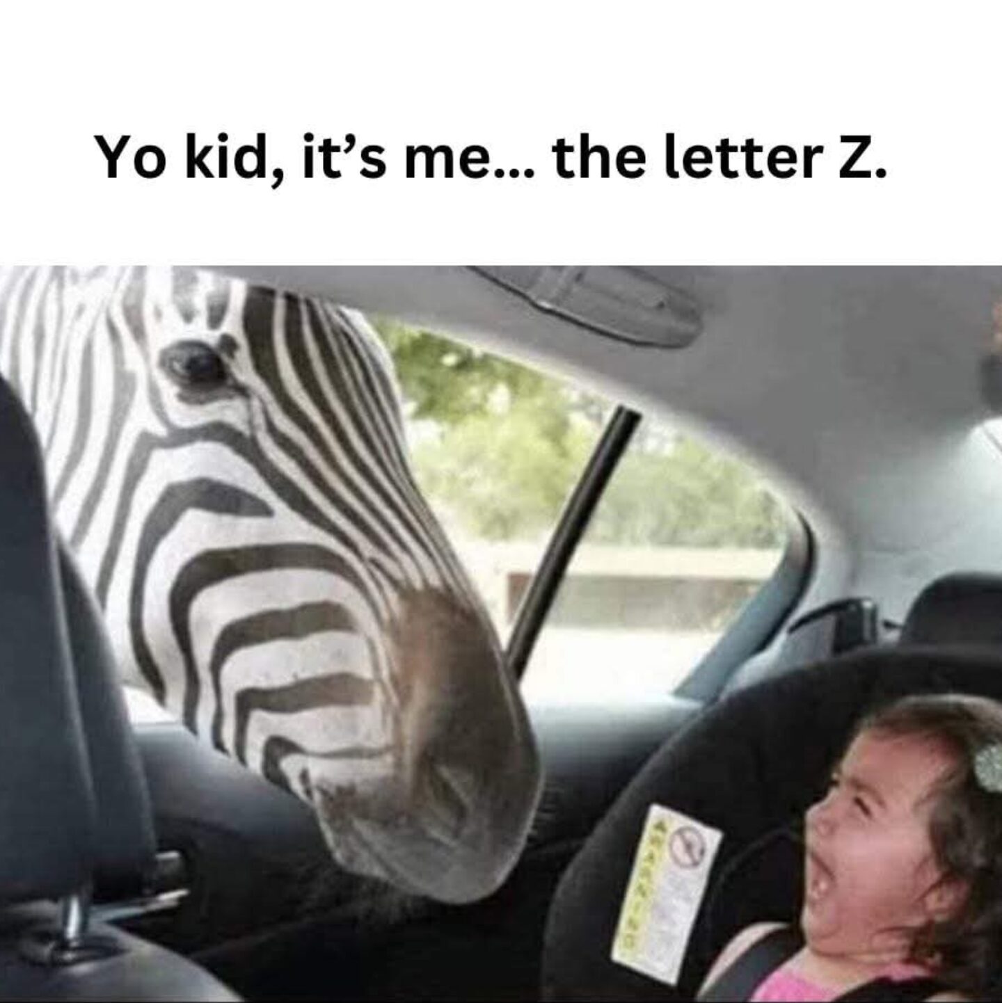 Unpredictable ABCs Adventure