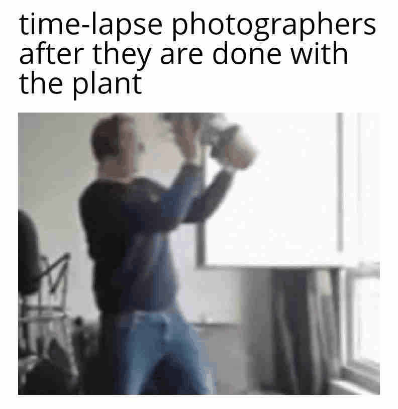 Dance with Your Plants: Capture the Real Magic