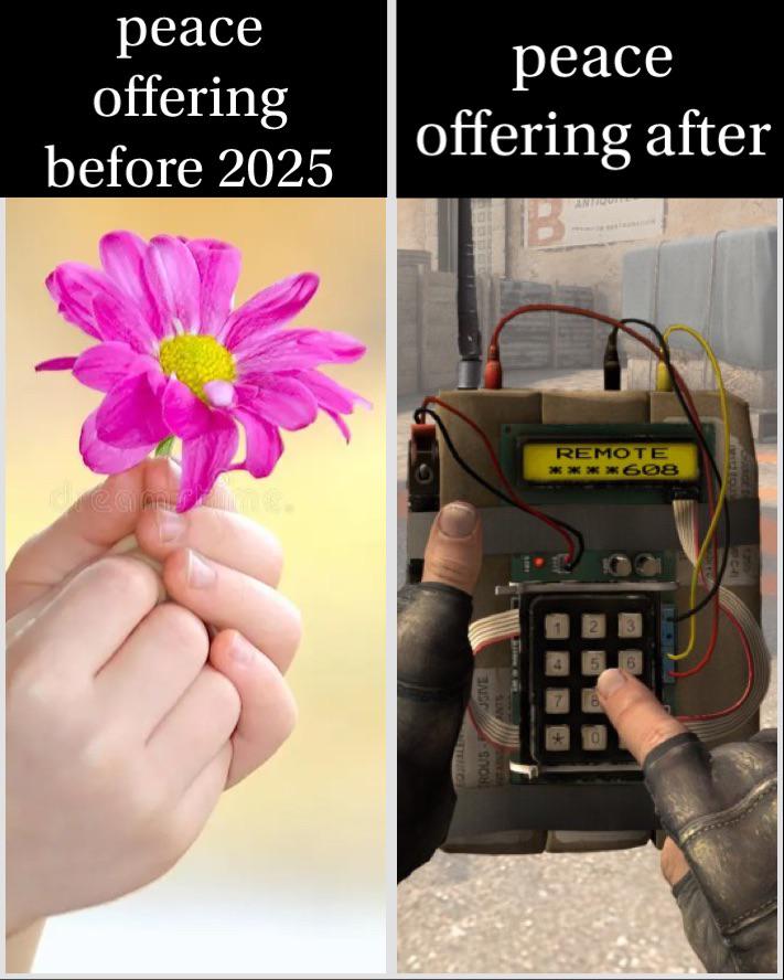 From Bouquets to Firepower: 2025 Peace Offerings