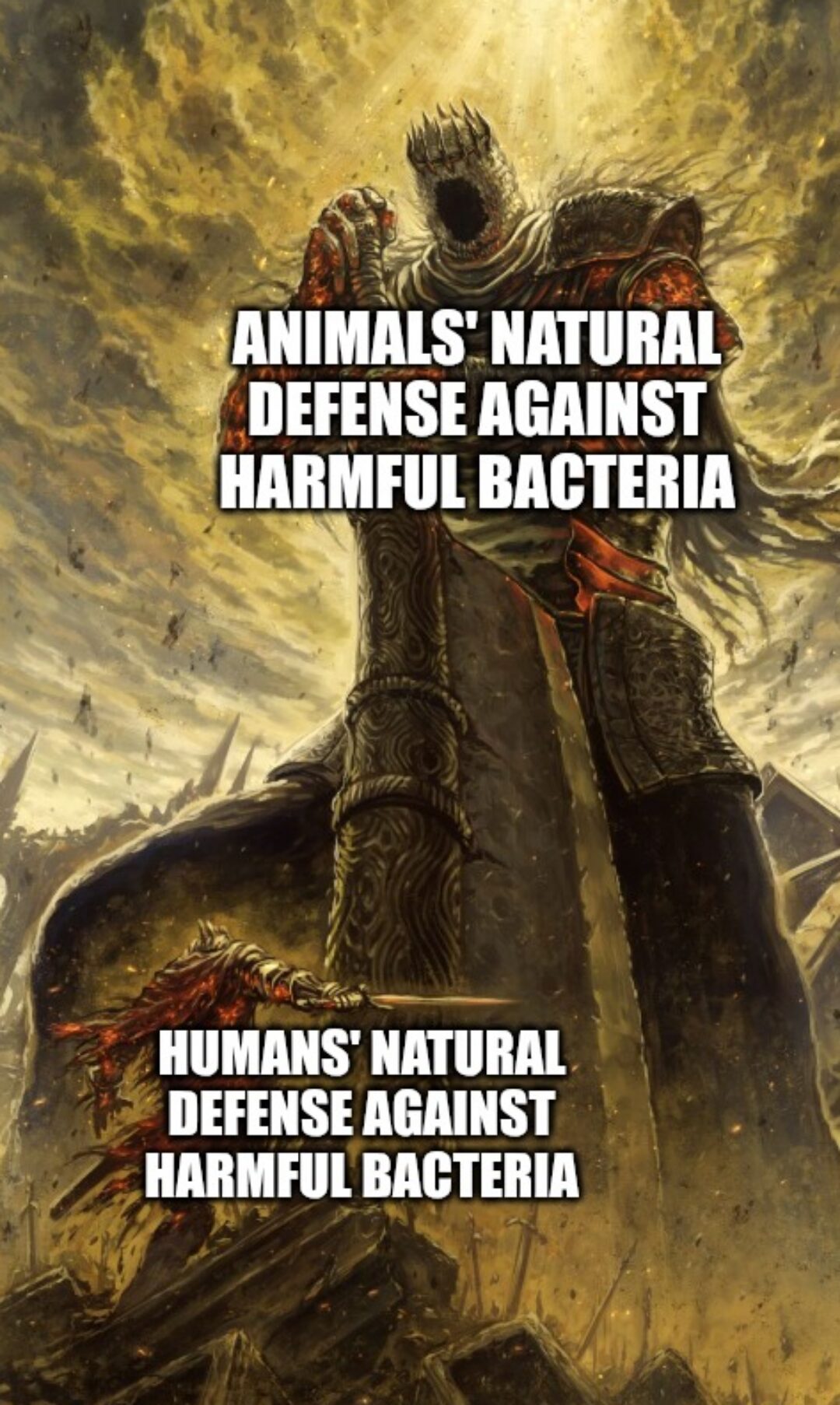 Boost Your Immune System Game
