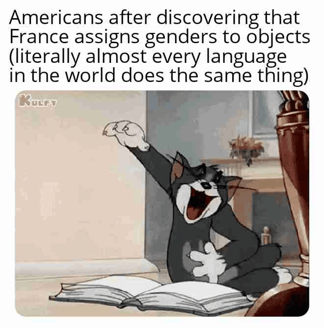 French Grammar Cat Meme: Gender Reveal Surprise