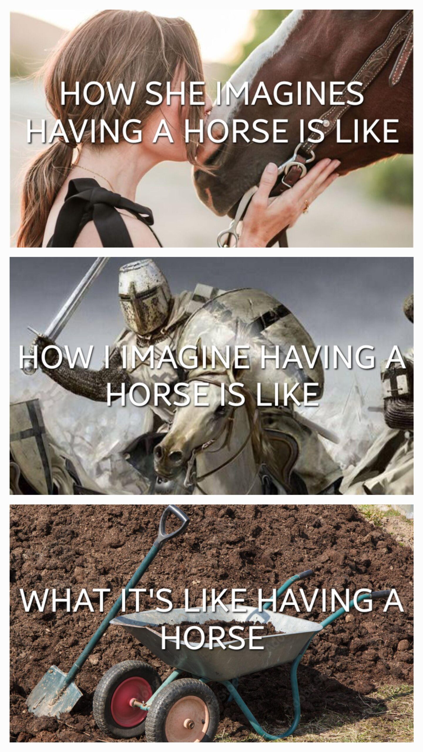 Horseback Romance vs. Poop Reality
