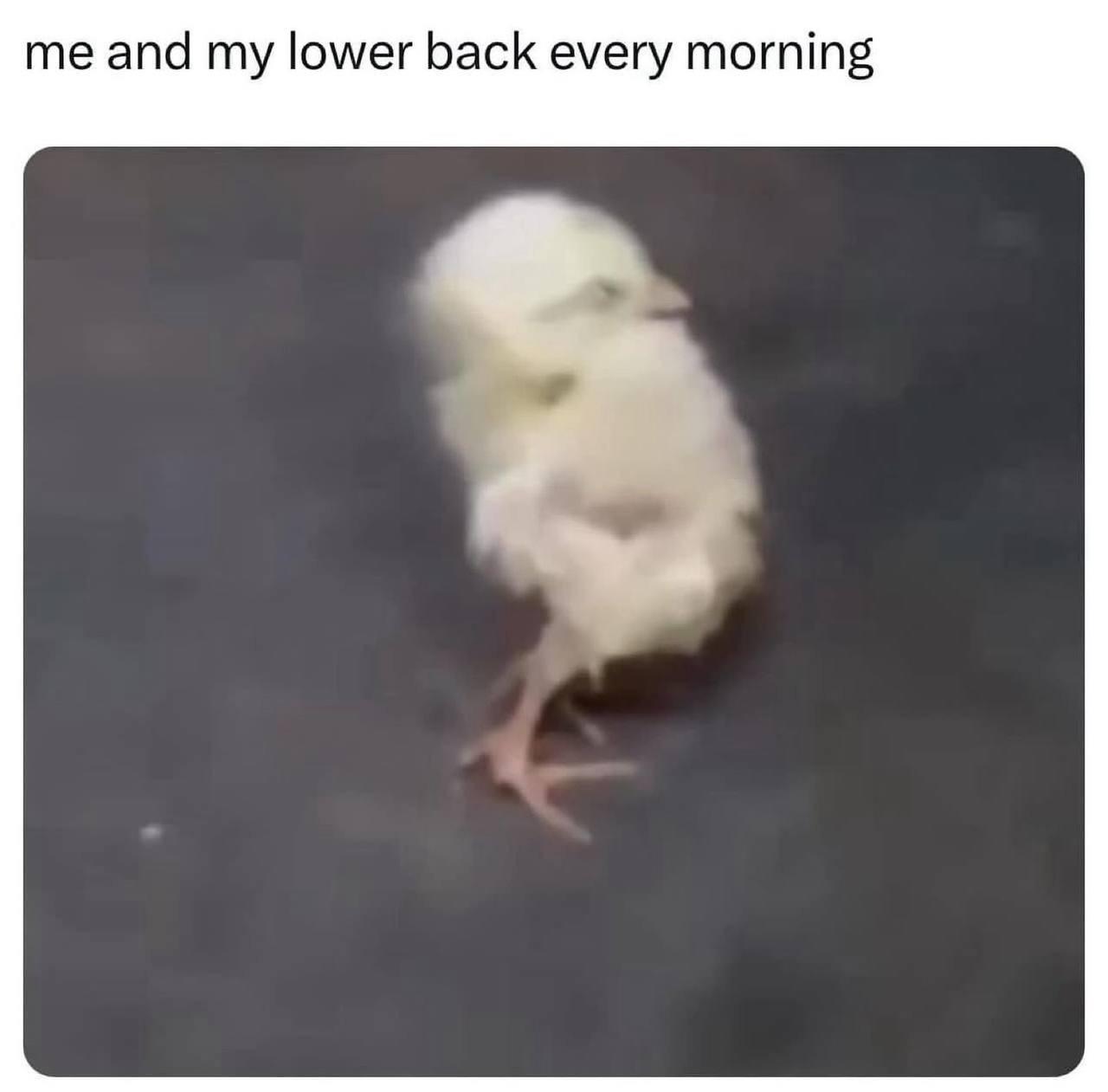 Morning Struggle: Walking vs Snooze Battle