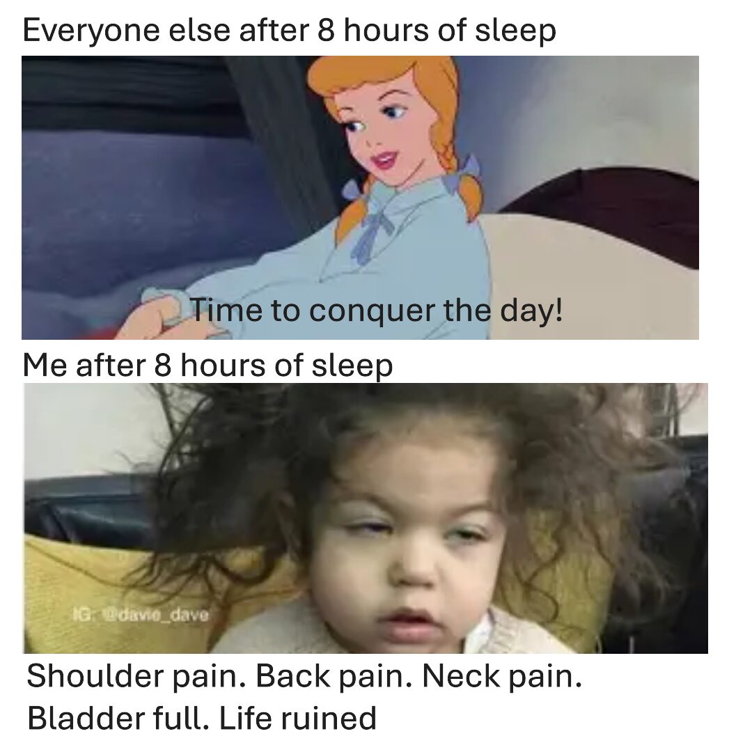 Sleepy Dog Memes to Brighten Your Day