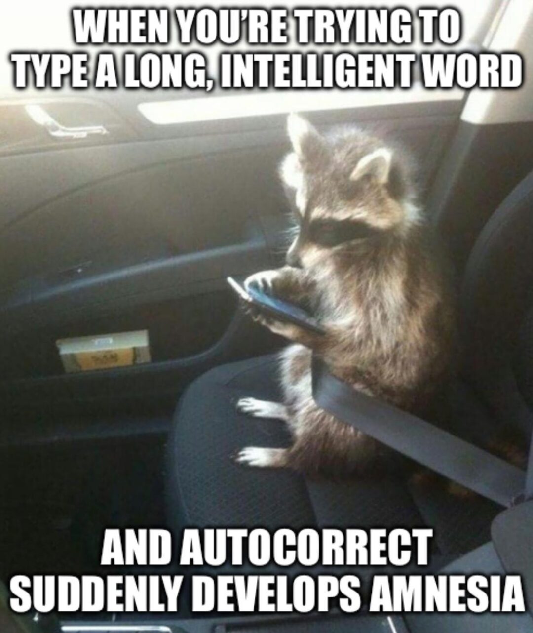 Autocorrect Fails: Word Mishaps
