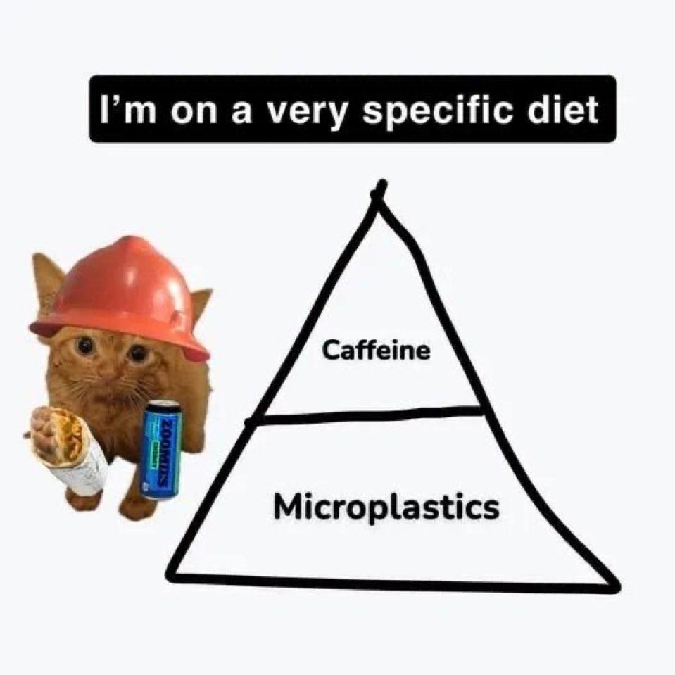 Caffeine, Burritos & Microplastics Diet Meme