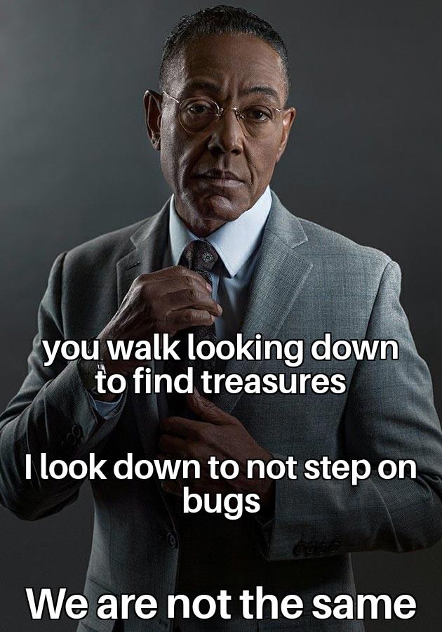 Treasure Hunt or Bug Guard? Choose Your Side!