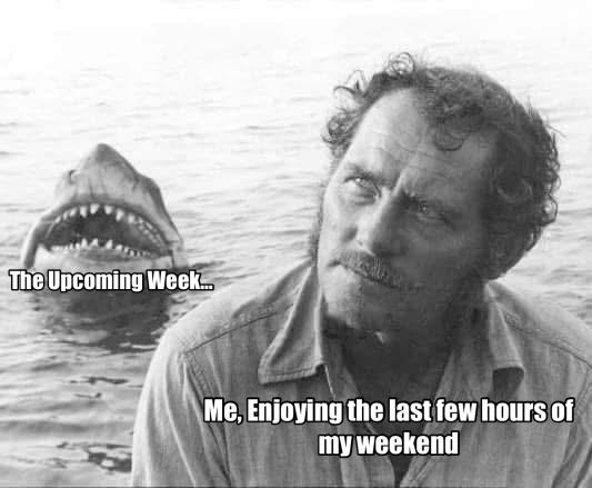 Weekend Bliss vs. Monday Shark