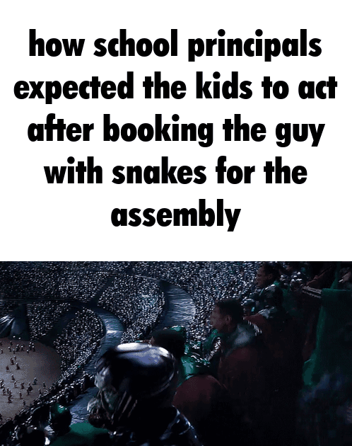 Snake Show Surprise at School Assembly
