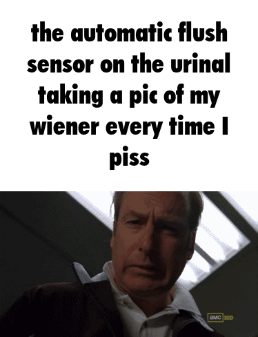 Urinal Paparazzi: Privacy Meme