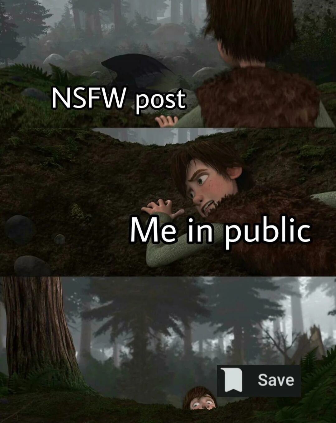 Ninja Stealth: NSFW in Public
