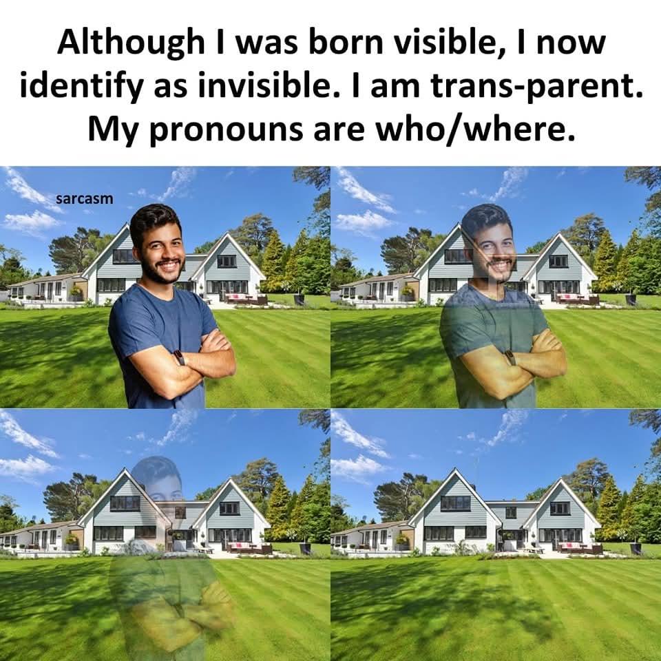 Transparent Pronouns Meme: Peek/Who Humor