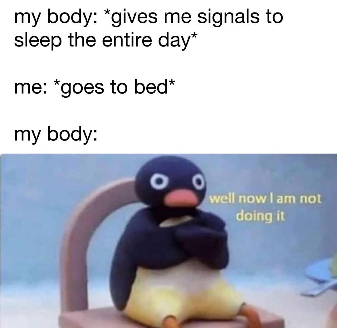 Sleep Struggles: Day Napper, Night Owl