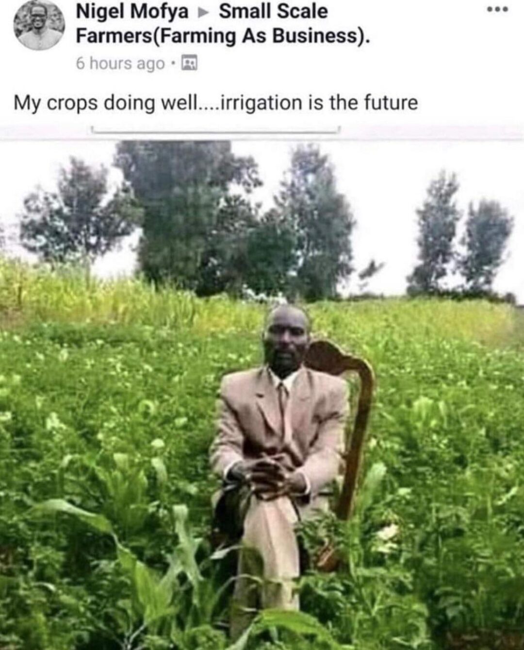 Farming Meets Fashion: The Elegant Agriculturist