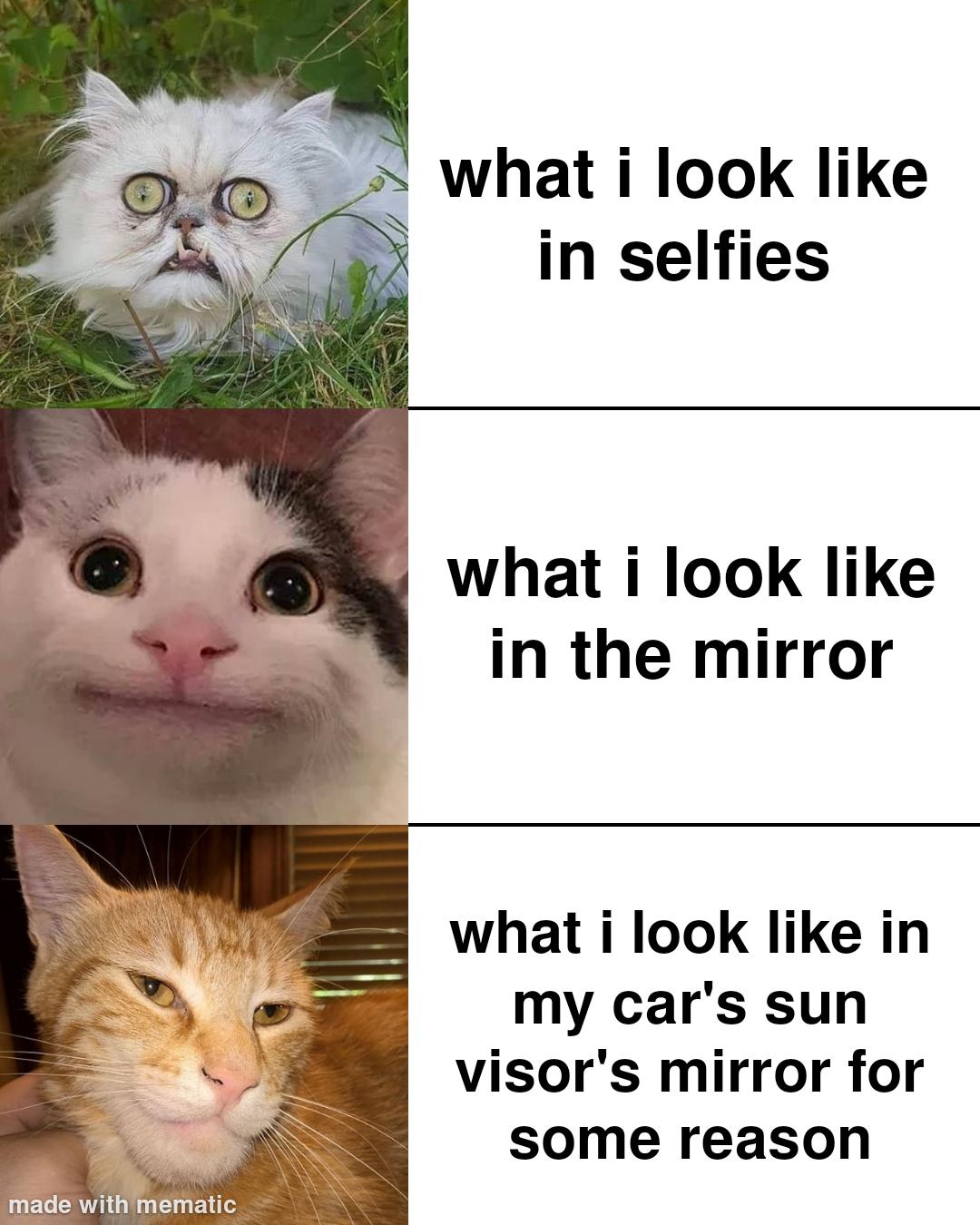 Car Mirror Magic Unveiled