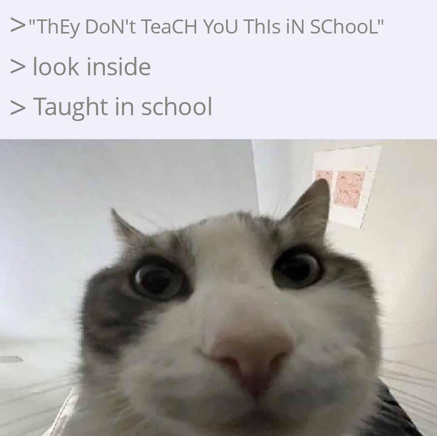Curious Cat: Uncovering Common Knowledge