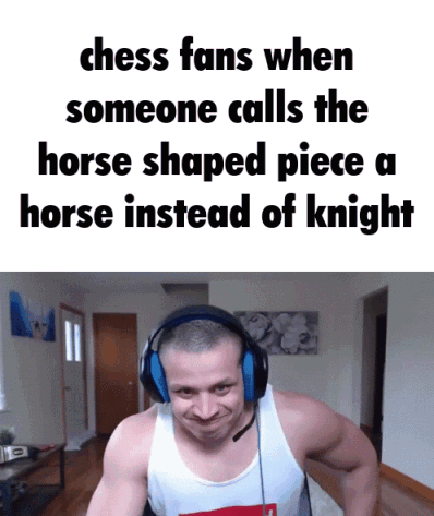 It’s More Than a Game: Horse Life