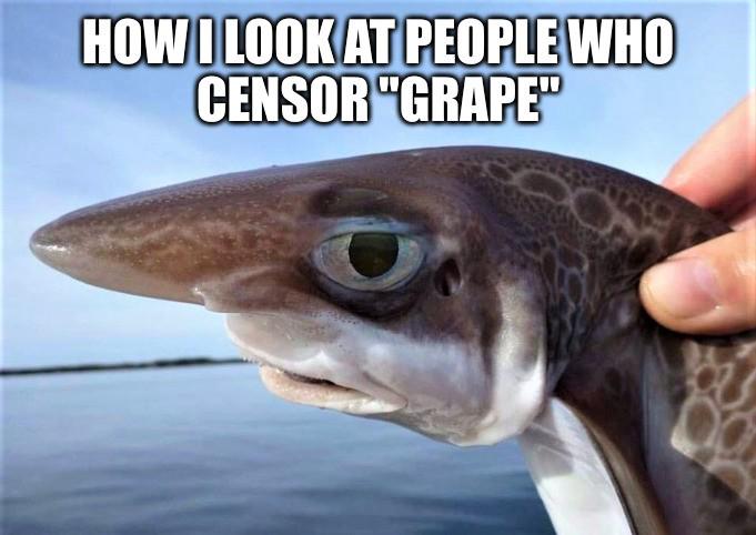 Censorship Gone Wild: The Shark Edition