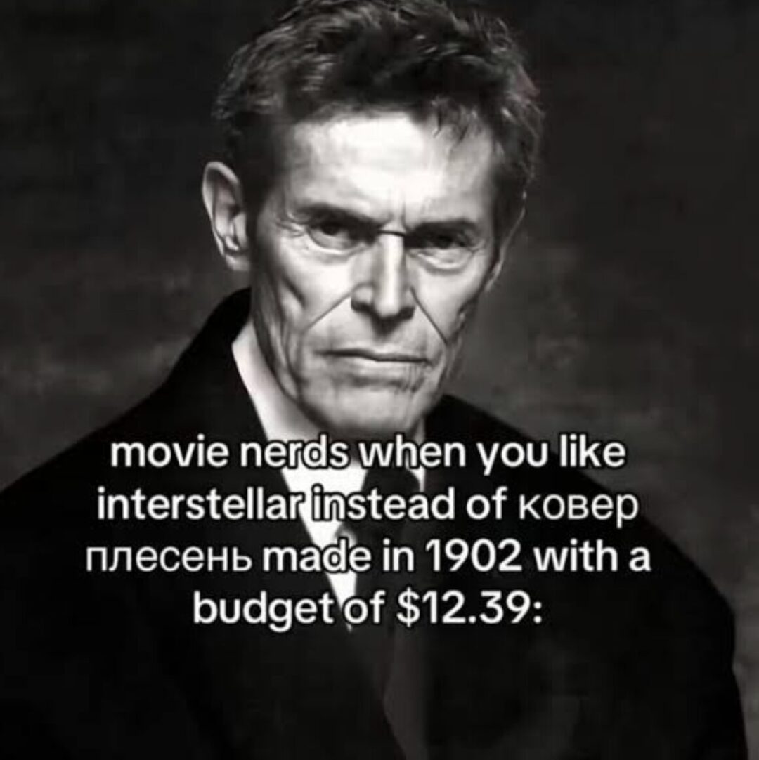 Fun Movie Fans vs. Cinephile Elites
