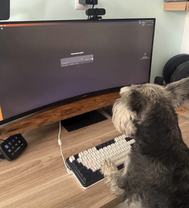 hired a junior dev. first day is going well