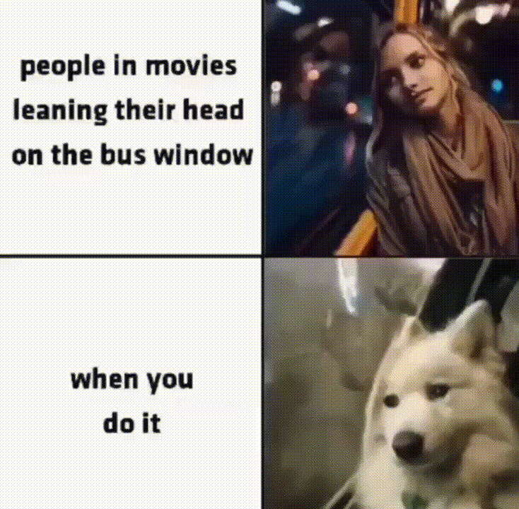 Annoying AF? Hilarious Everyday Moments You’ll Relate To