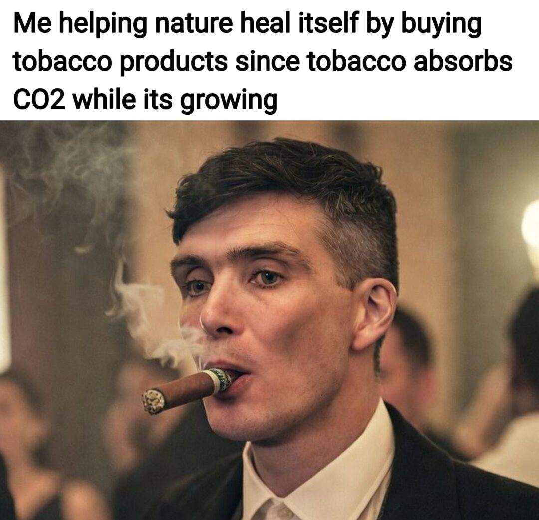 It also contains protein from 10-20% of it’s dry weight