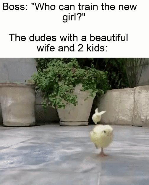 Always happy to help