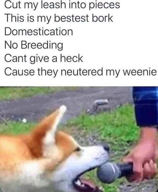 my bestest bork
