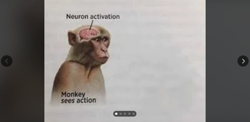 How to trick a Monkey