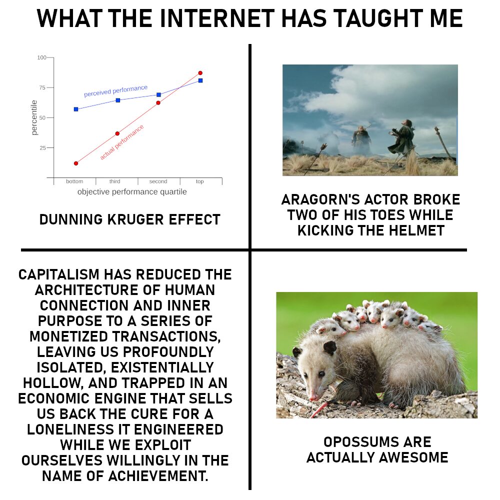 Genuinely, opossums are great!