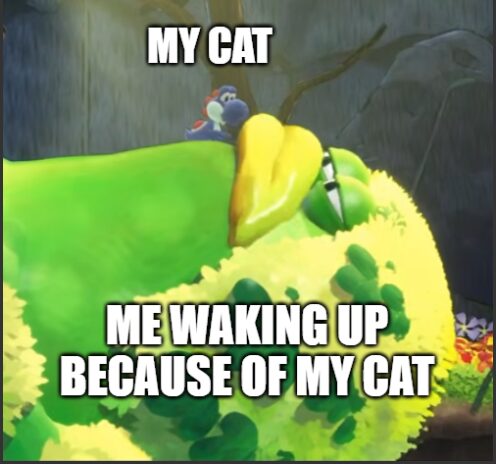 she gets me up too early..