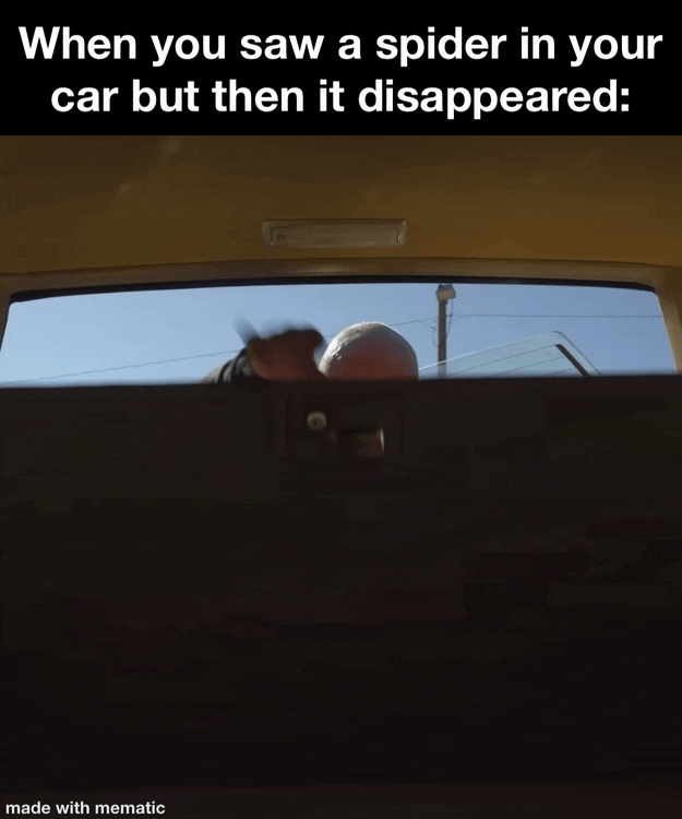 No half measures