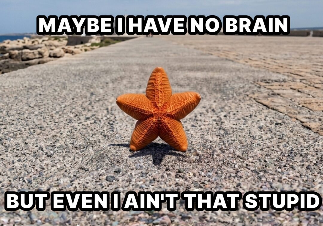 Literally bro