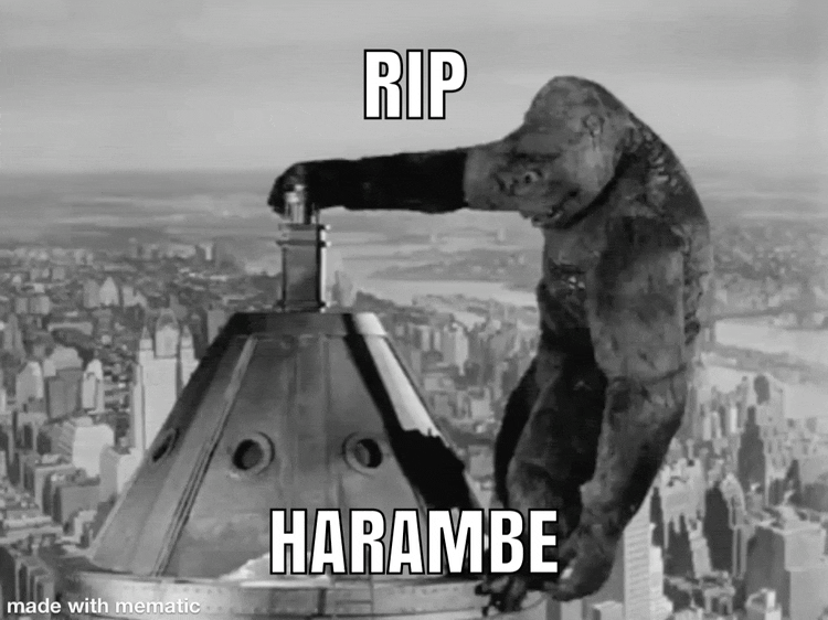 Major F
