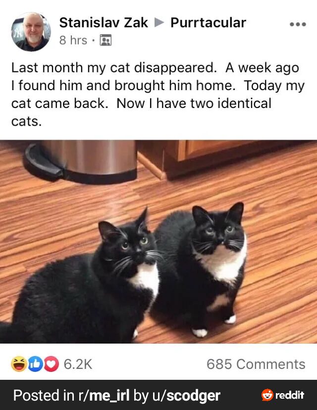 me😼irl