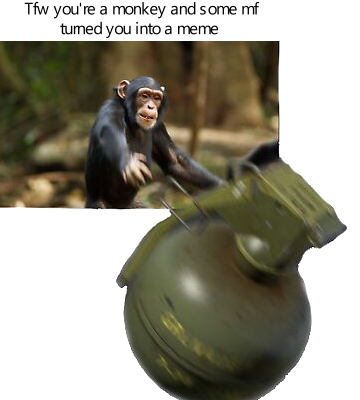 monke life