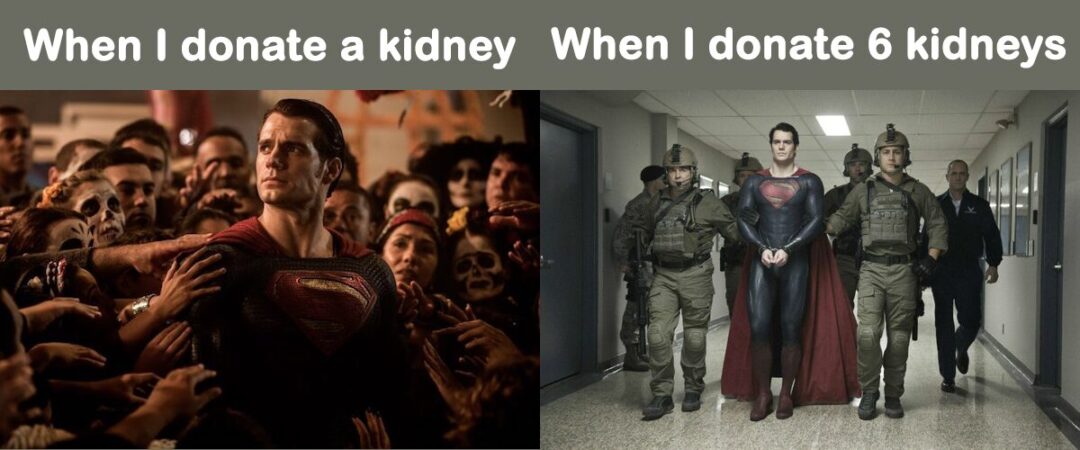 Organ Donor