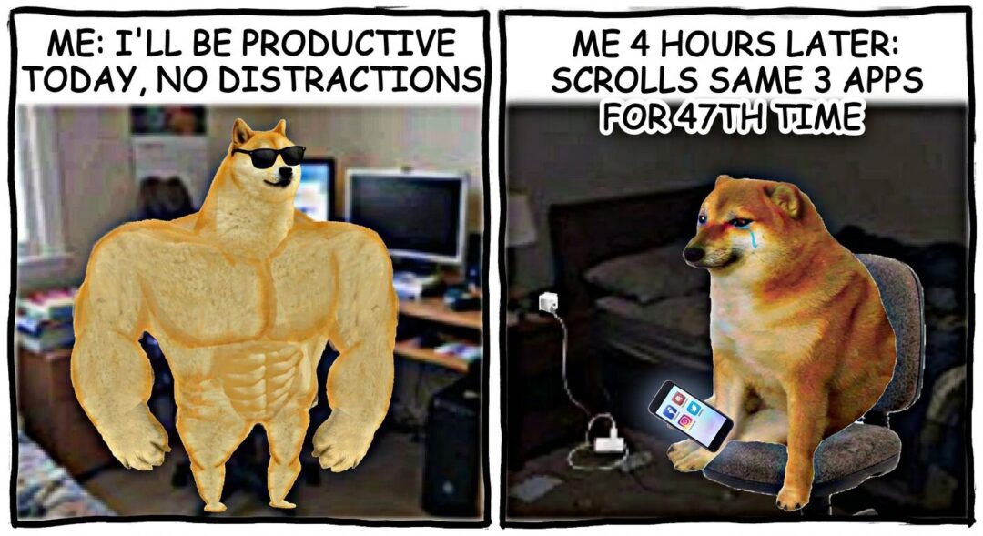 Expectation vs. Reality
