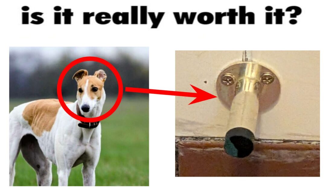 Is it really worth it?