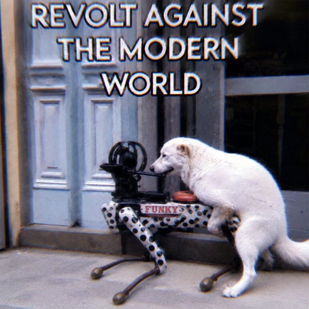Reject modernity, embrace whatever this is 🥀