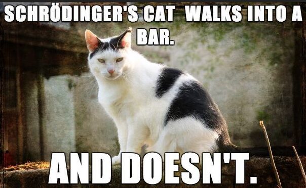 Schrödinger’s cat
