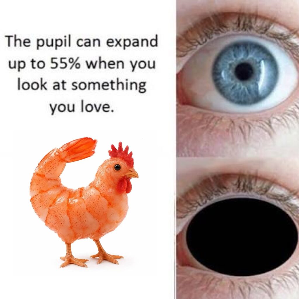 Me when I see a chicken shrimp