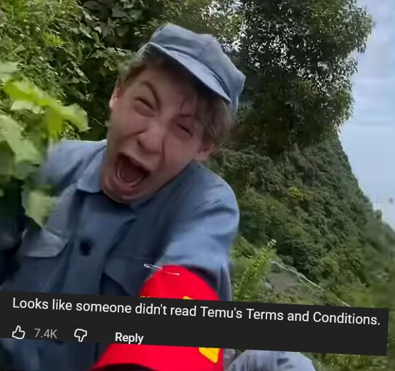 skip to agree