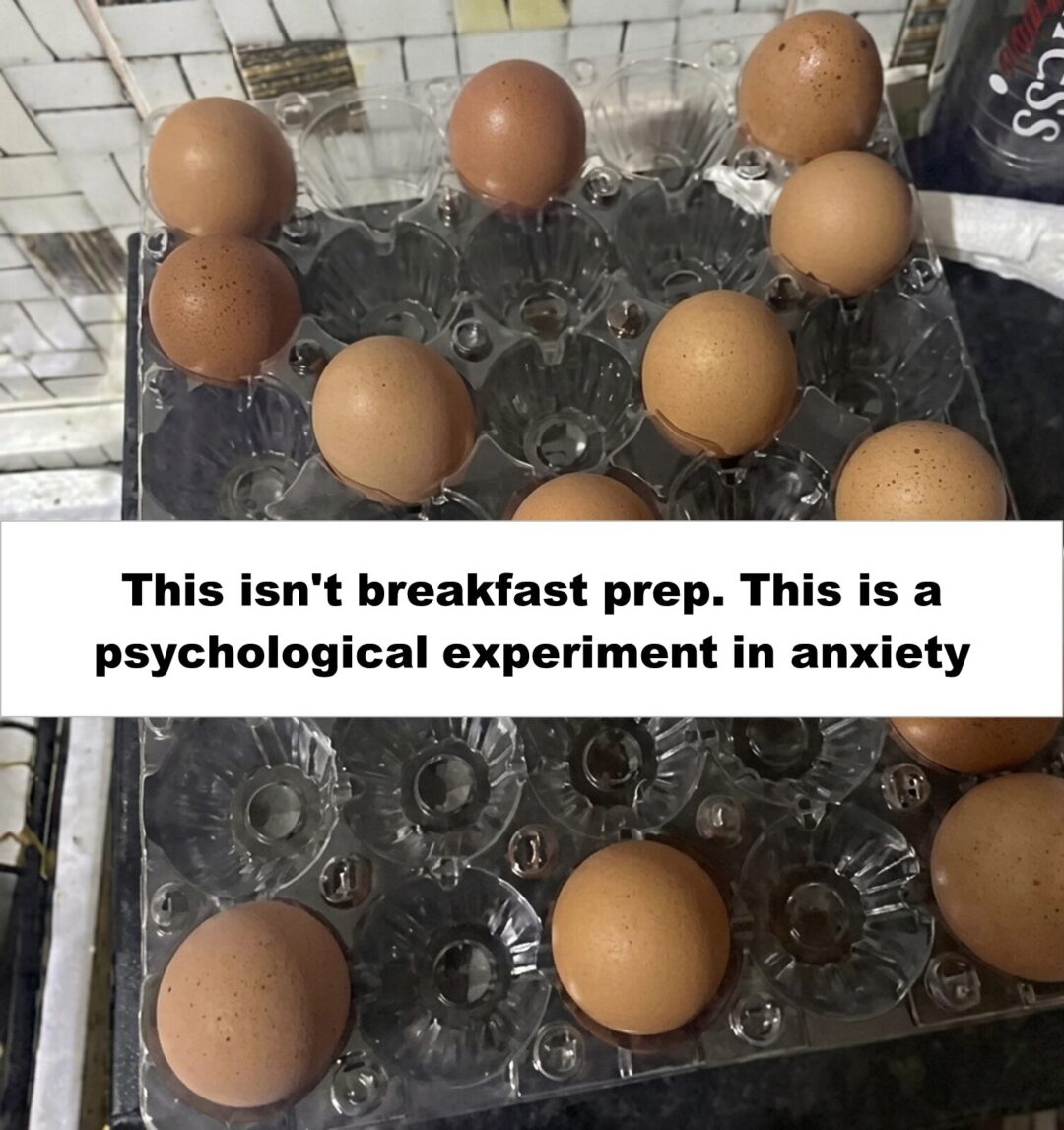 I surprise these eggs, they don’t ever know who’s next