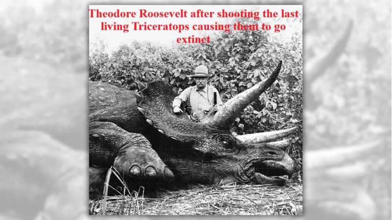 Why would Teddy do this 😢